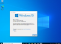 Bộ cài Windows 10 version 20H2 nguyên gốc