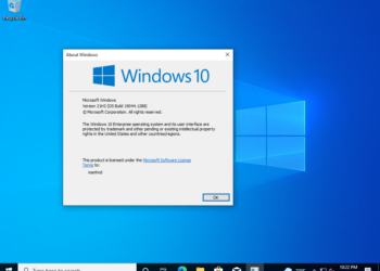 Bộ cài Windows 10 version 21H2 nguyên gốc