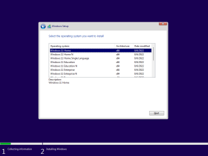 Bộ cài Windows 11 All In One
