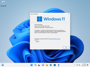 Bộ cài Windows 11 All In One