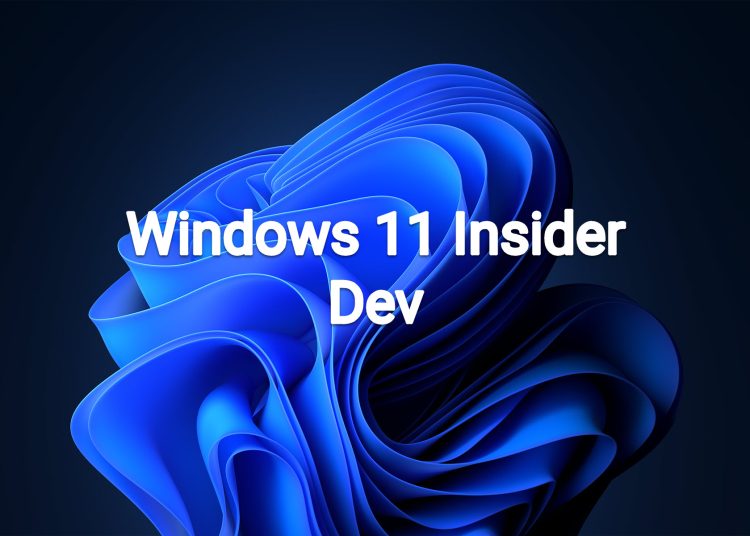 KB5038603 Windows 11 Insider Dev build 26120.1252 (24H2)