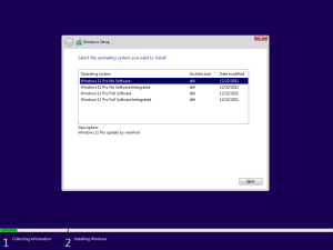 Bộ cài Windows 11 Pro version 21H2
