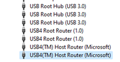 USB4 Host Router as shown in Device Manager