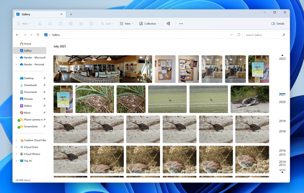 Gallery in File Explorer