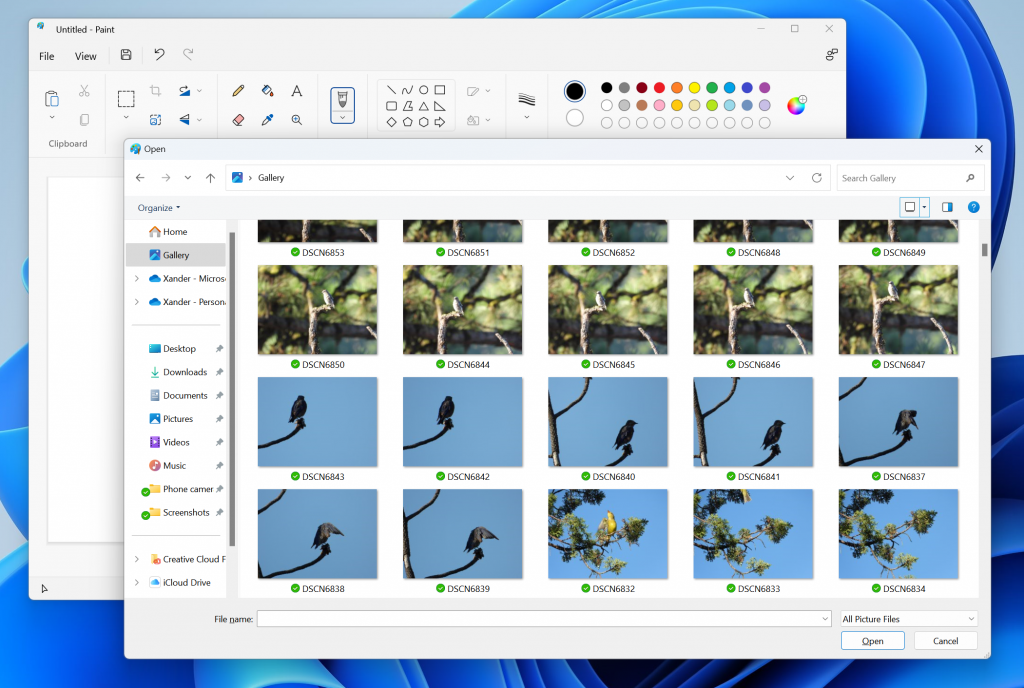 Gallery in the file picking dialog