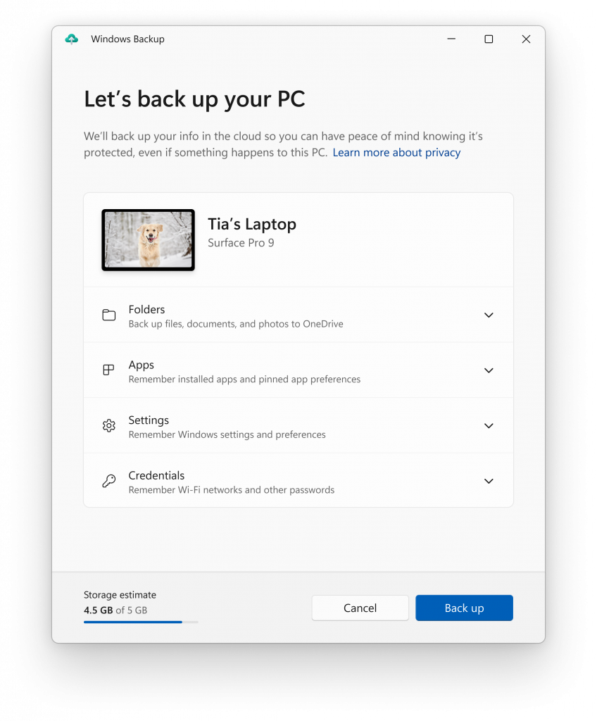 The Windows Backup app