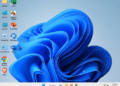 Bo Cai Windows 11 Prow 24h2