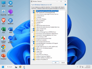 Windows Feature