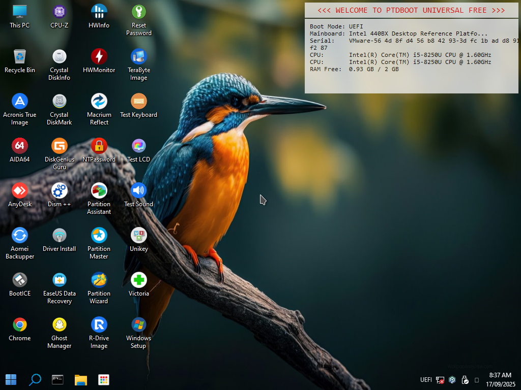 Màn hình Desktop